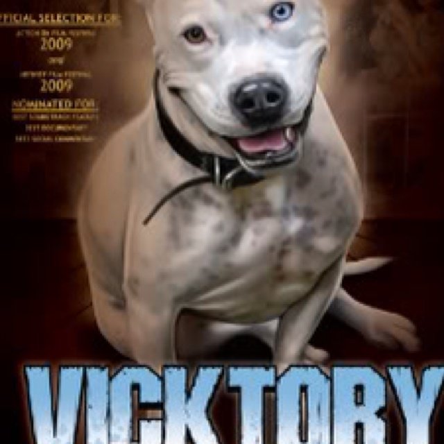 Based in Atlanta, out of an unlikely source focused and very successful at helping fighting dogs find love. #VicKtoryToTheUnderDog #AONfamily