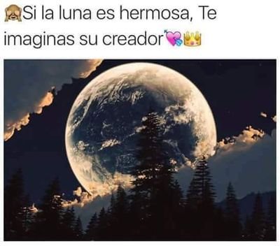 clairo09's profile picture. 