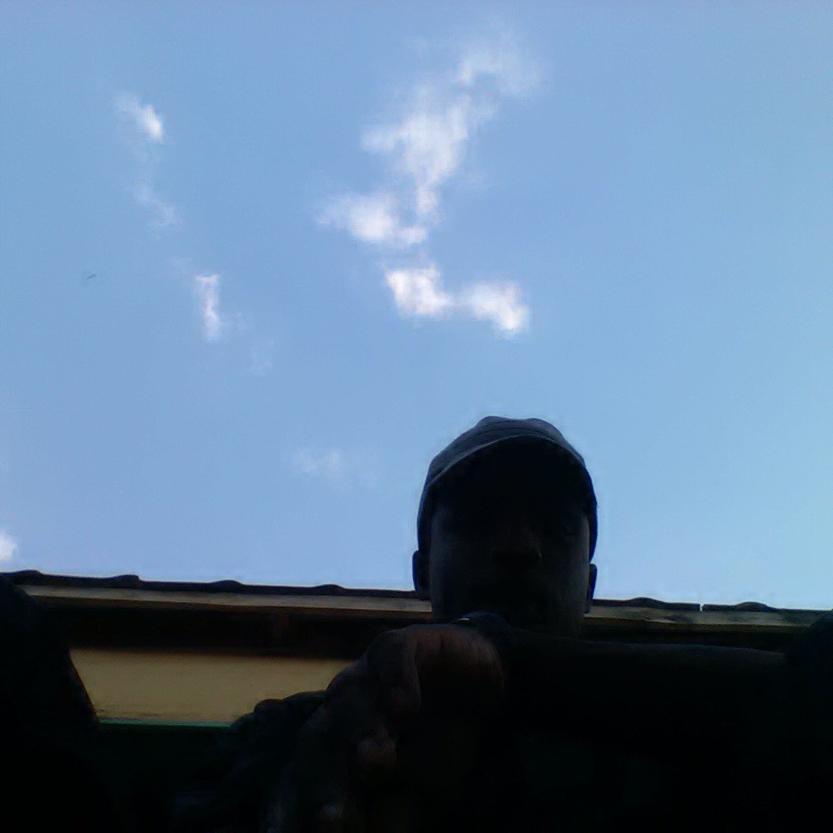 MicheWebster3's profile picture. 