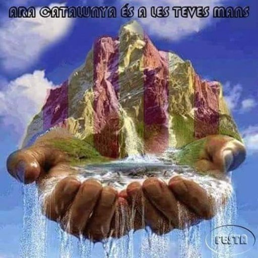 rosamaurichpons's profile picture. Independentista