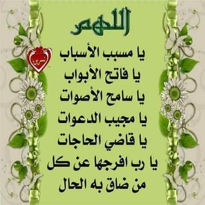 dXMHKSQs6jDC33k's profile picture. 