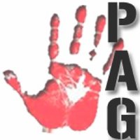 Plataforma Antirrepresiva de Guadalajara (PAG) (@antirepresivagu) 's Twitter Profile