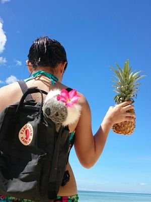 thebakingkoala's profile picture. 🐨