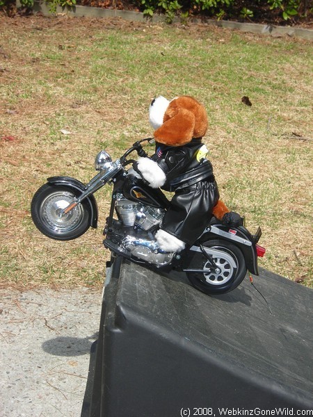 WebkinzGoneWild's profile picture. We are just a couple of parents who have 3 kids who love Webkinz!