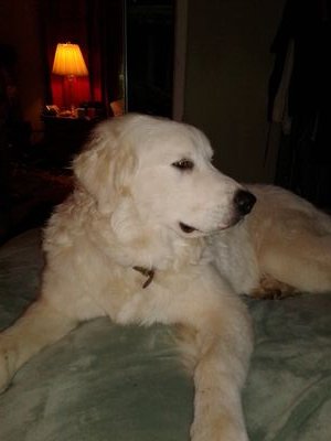 ChildOfGOD1959's profile picture. Love my kids