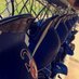 DC Softball (@chs_softball17) Twitter profile photo DC Softball (@chs_softball17) Twitter profile photo
