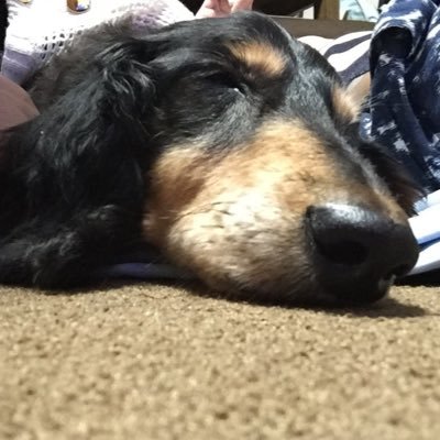 homi_15_salt_'s profile picture. 基本発言は適当です。よろしくお願いします。