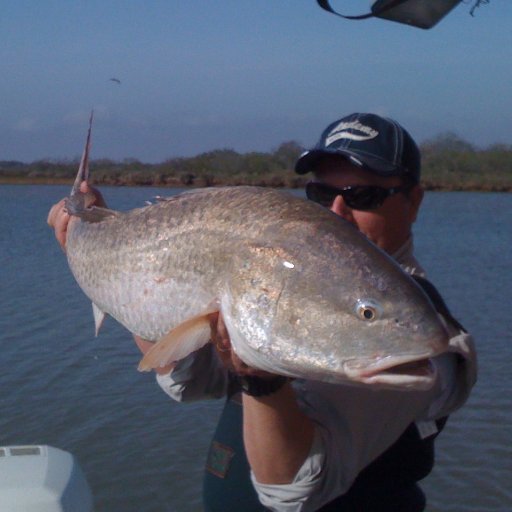 k2lights's profile picture. 