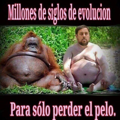 CotoMazabapolo's profile picture. Por siempre niño