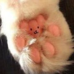 raspberryotter's profile picture. Here for the deals.