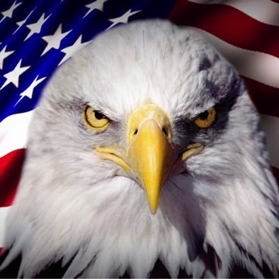 danj2981's profile picture. CEO of Valor Financial, Past home runs will never win today's game, Most dont care about your effort until you win, Do your own DD & don't be lazy, Isaiah 41:10