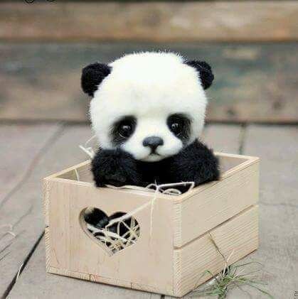 Noga20744888's profile picture. Optometrist