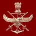 HQ IDS (@HQ_IDS_India) Twitter profile photo