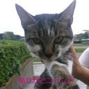 T (@0527_28) Twitter
