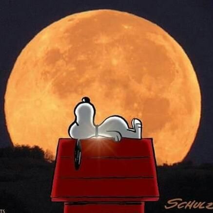 nina828215's profile picture. 💛💙♥SOS VENEZUELA💛💙♥😧