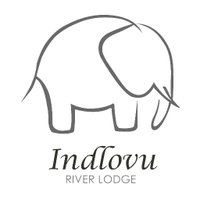 Indlovu River Lodge (@indlovul) 's Twitter Profile Photo Indlovu River Lodge (@indlovul) 's Twitter Profile Photo