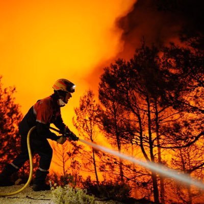 Ben and Markus. Forest fires can actually be beneficial for the environment !