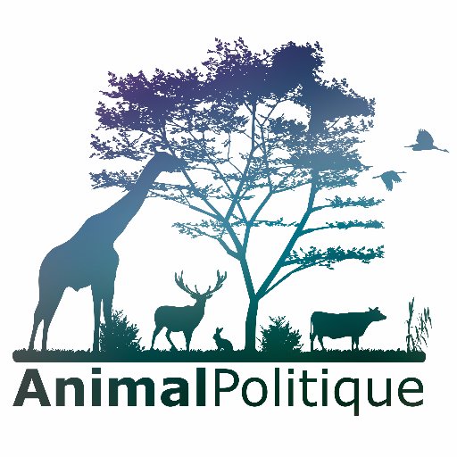 Le collectif AnimalPolitique : 25 organisations de protection animale rassemblées pour mettre la question animale au cœur des préoccupations politiques.