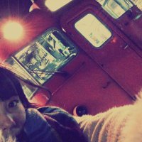 ふにふにのんちん`* (@n5o7n) 's Twitter Profile