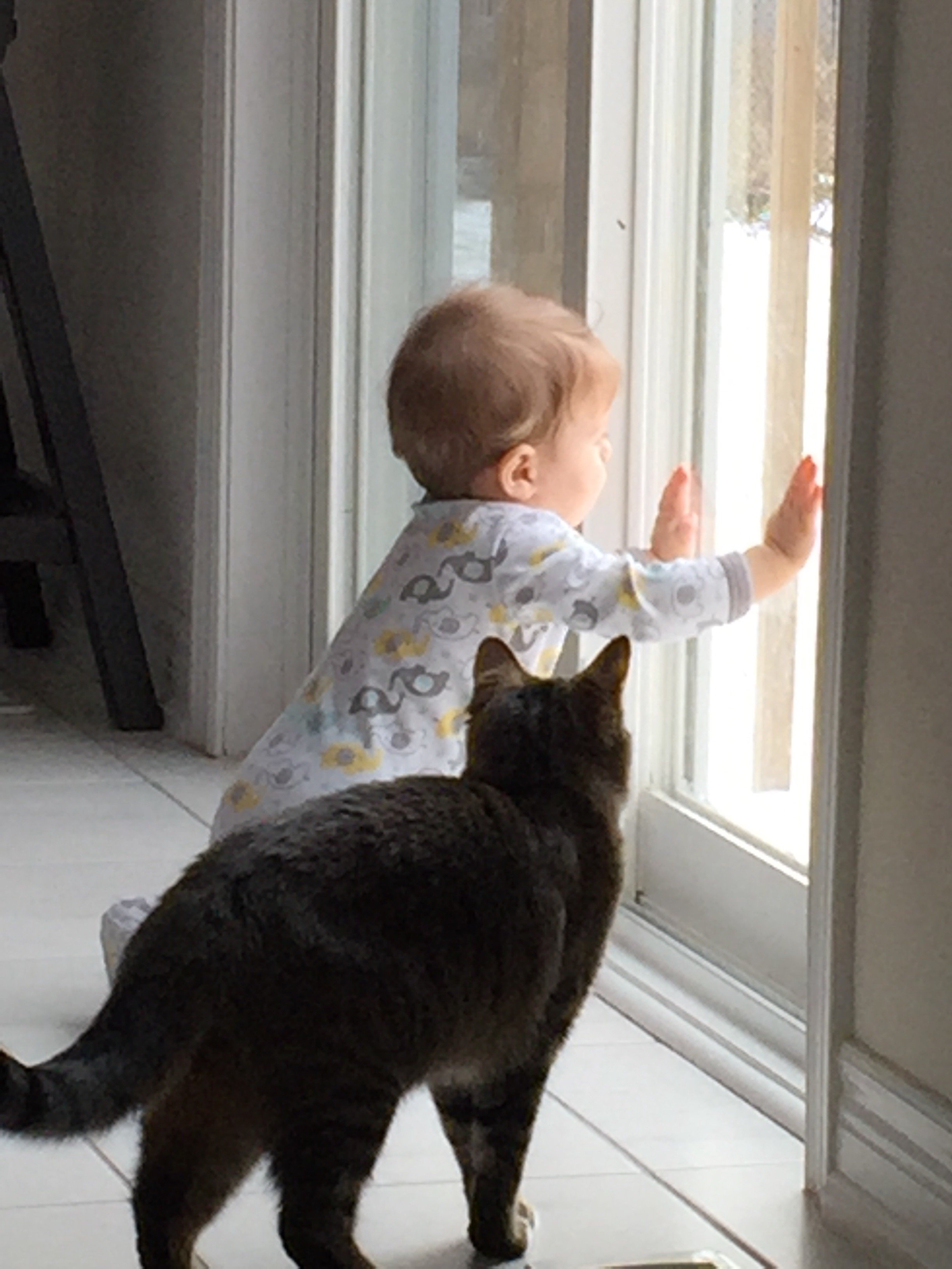 mixedbreed13's profile picture. 