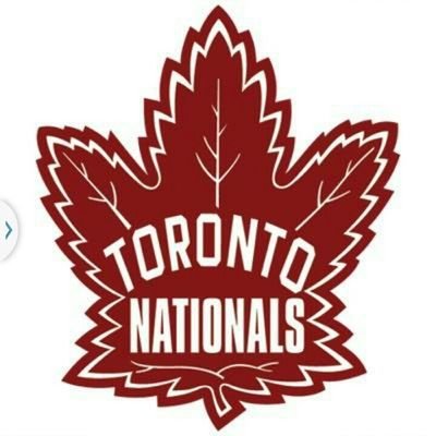 2001 Toronto Nationals -  A Minor Midget AAA team playing in the GTHL.