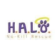 We are Indian River County, Florida's only no-kill animal shelter, saving over 20,000 lives since our inception . (772) 589-7297 halonokillrescue@gmail.com