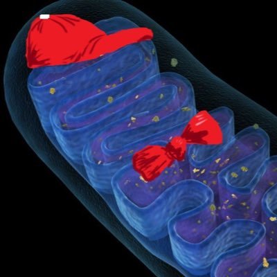 MitoPCell's profile picture. The REAL Powerhouse of the Cell #MakeTheCellGreatAgain