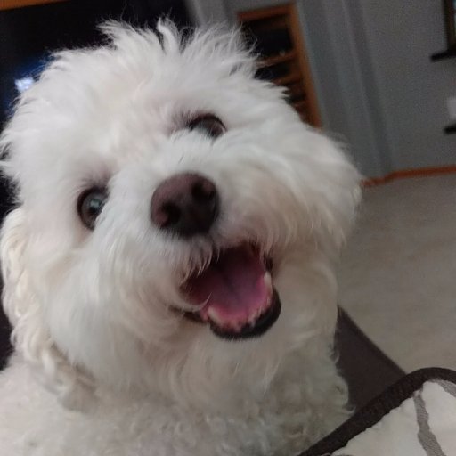 autumnz804's profile picture. imyf