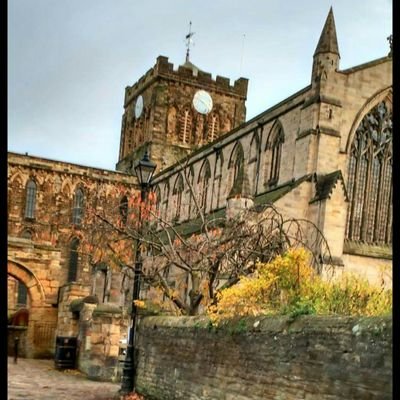 Making an app for cafe customers in hexham, need your advice!