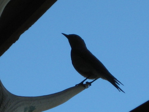 Hufferman's profile picture. Recognition Think Tanker