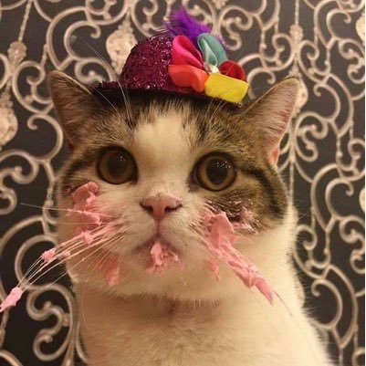 ina_lotta's profile picture. Feinripp-Murmel