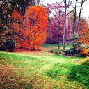 Edwin Quesada - @EdwinQuesada9 - Twitter