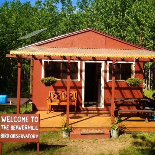 The Beaverhill Bird Observatory has run research, monitoring, and education programs since 1984 in the Beaverhill Natural Area east of Edmonton, Alberta.