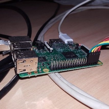 Mumie1337's profile picture. 