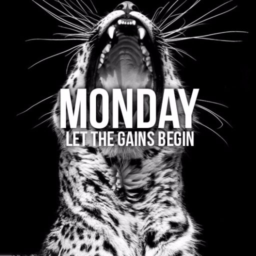 GuitoAlvarez's profile picture. 'Believe in yourself' Del 93. Deportista melómano #FCB #RCCV #LaceUp
http://t.co/OXiVooCZnl