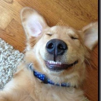 alexgrsk's profile picture. Believe you can and you're halfway there.