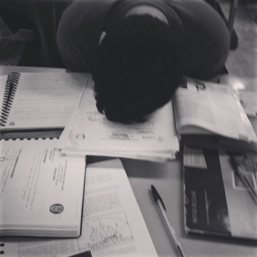 gahmortis's profile picture. Un Sonorense viviendo en Monterrey✌🏻. Lic.QCB futuro maestro de microbiología y 🏳️‍🌈🌈