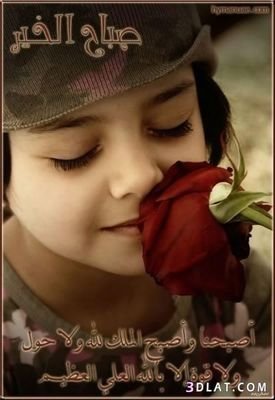 afjwgcsjlfej's profile picture. 006631