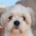 CW (@carrielw69) Twitter profile photo CW (@carrielw69) Twitter profile photo