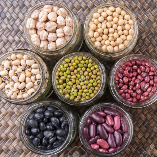 Billiard Lentil Profile