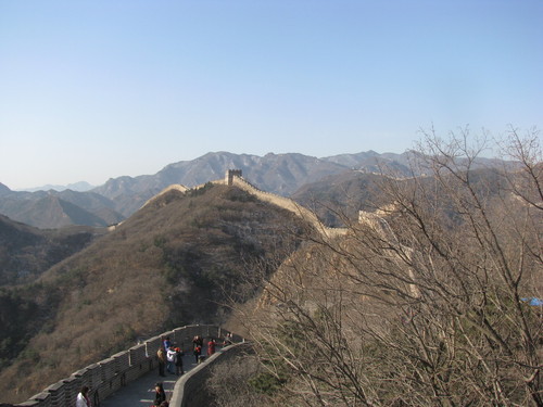 sxyds's profile picture. 见证者