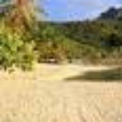 bangal7787's profile picture. 