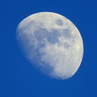 aozora-moon (@aozoramoon1) 's Twitter Profile Photo aozora-moon (@aozoramoon1) 's Twitter Profile Photo