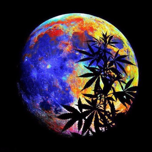 Weed in space photos🚀 
Weed that makes you fly