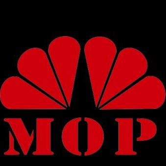 Amycaojing's profile picture. Sales from JiangXi JiaHuaMei Shell Development Co,.Ltd