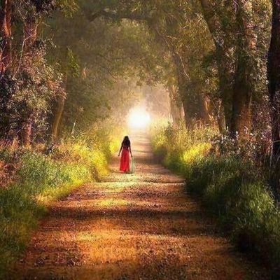 NepalPachim's profile picture. 