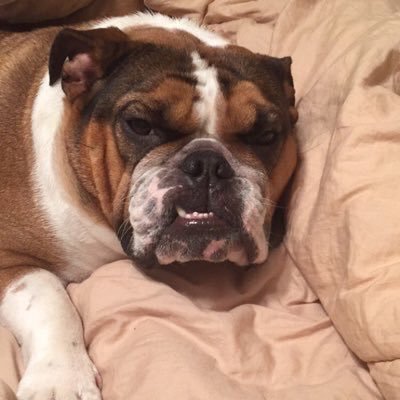 Laityyy's profile picture. probably don't know me