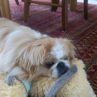 watfort95's profile picture. andicapeé épileptique