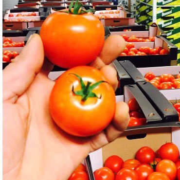 DelightProduce's profile picture. We offer you the best of spanish produce directly from our own farms! With offices in Spain and UK! Contact us for more info at info@producedelight.com