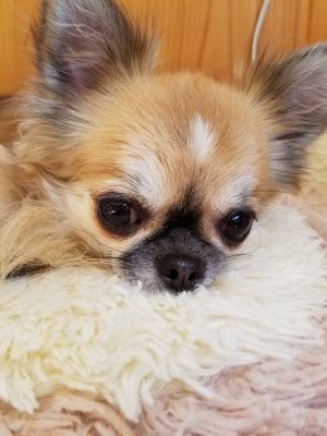 X8IHu1L8StpcZtx's profile picture. 